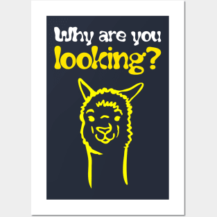 Why are you looking? Alpaca Posters and Art